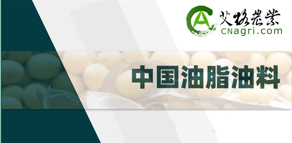 "油"刃有余？中澳重启油菜籽贸易背后的多元化考量